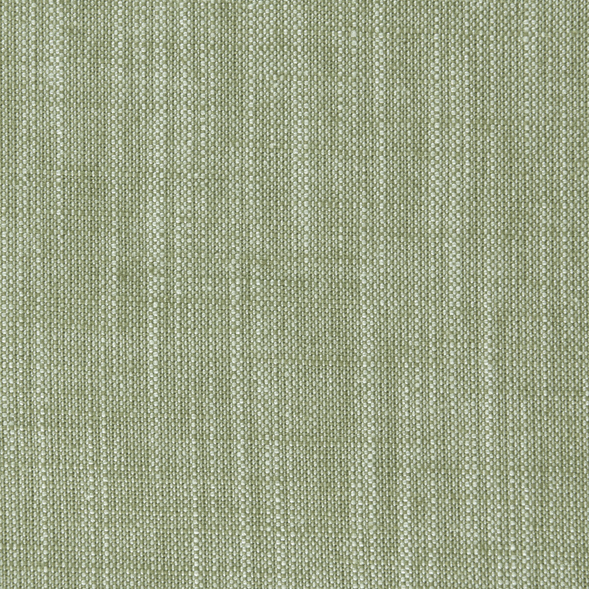 Clarke & Clarke Biarritz Parsley Fabric Sample F0965/36.CAC.0