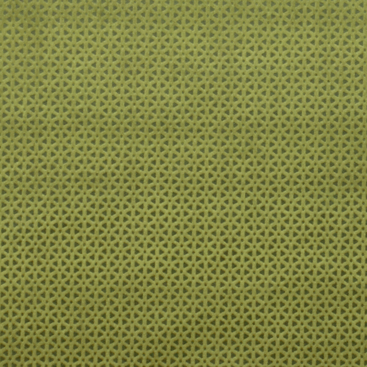 Clarke & Clarke Loreto Olive Fabric Sample F0968/06.CAC.0