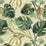 Clarke & Clarke Monkey Business Natural Fabric Sample F0998/03.CAC.0