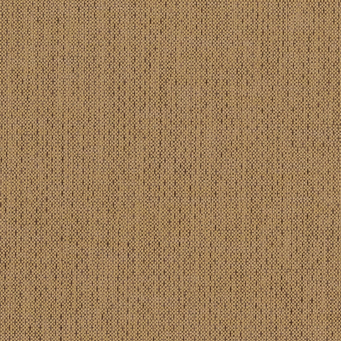 Charlotte F100-163 Fabric Sample