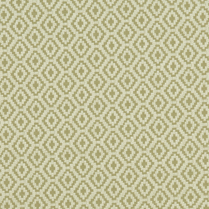 Clarke & Clarke Keaton Olive Fabric Sample F1045/04.CAC.0