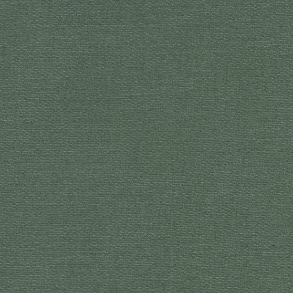 Clarke & Clarke Alora Forest Fabric Sample F1097/19.CAC.0