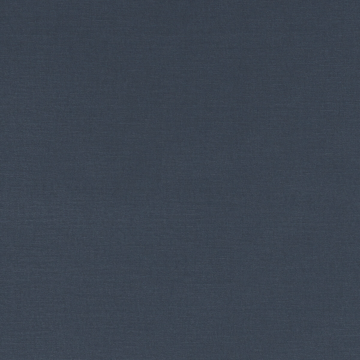 Clarke & Clarke Alora Ink Fabric Sample F1097/28.CAC.0