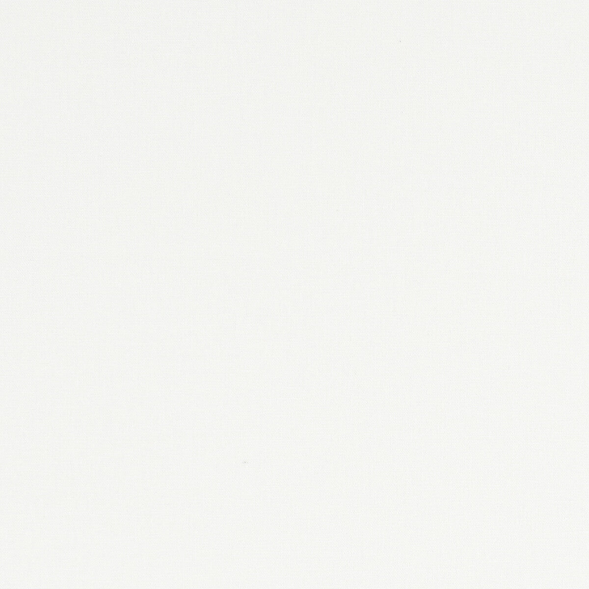Clarke & Clarke Alora Ivory Fabric Sample F1097/29.CAC.0