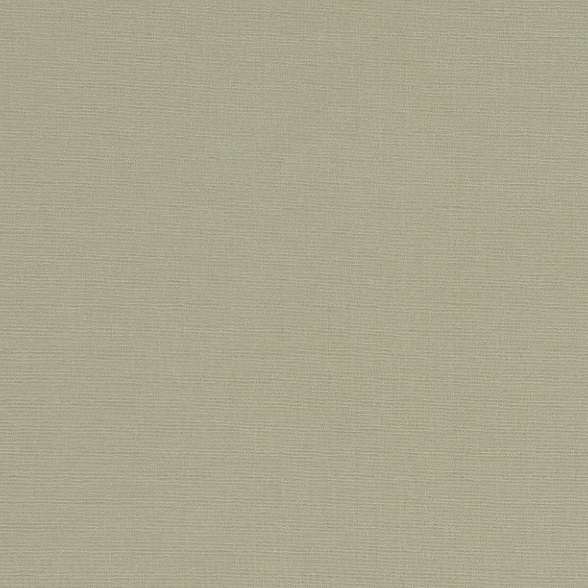 Clarke & Clarke Alora Khaki Fabric Sample F1097/30.CAC.0
