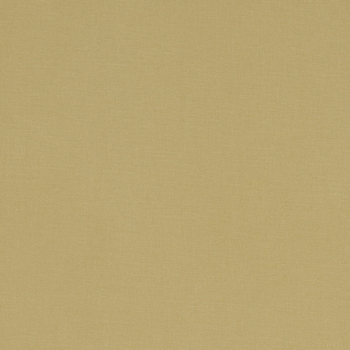 Clarke & Clarke Alora Malt Fabric Sample F1097/35.CAC.0
