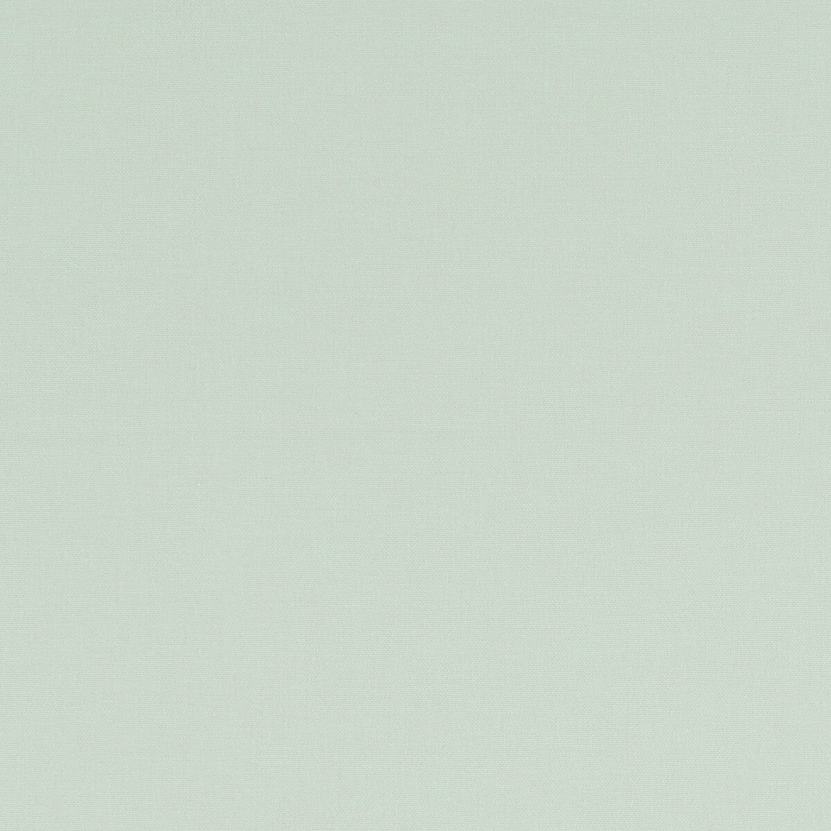 Clarke & Clarke Alora Mint Fabric Sample F1097/39.CAC.0