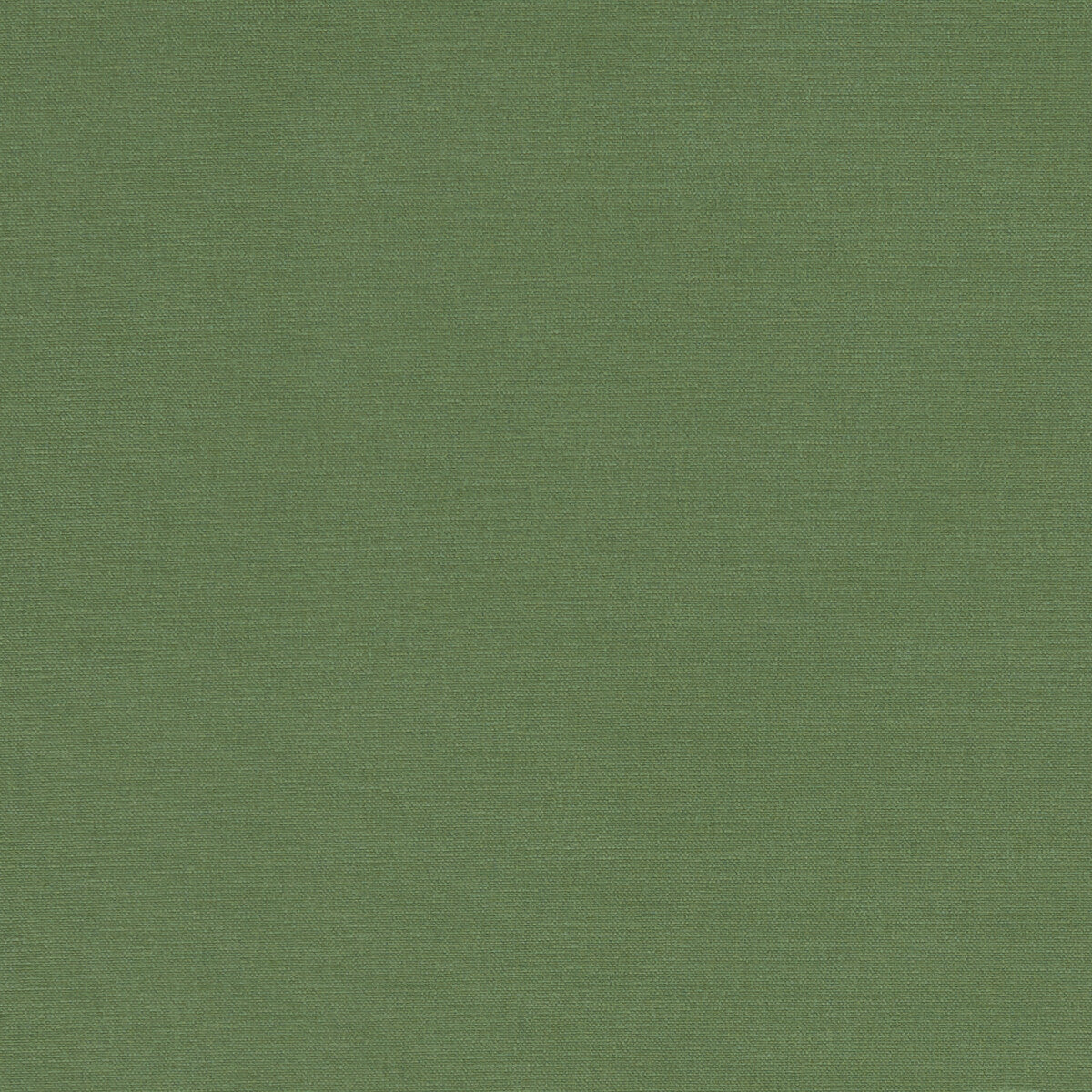 Clarke & Clarke Alora Palm Fabric Sample F1097/43.CAC.0