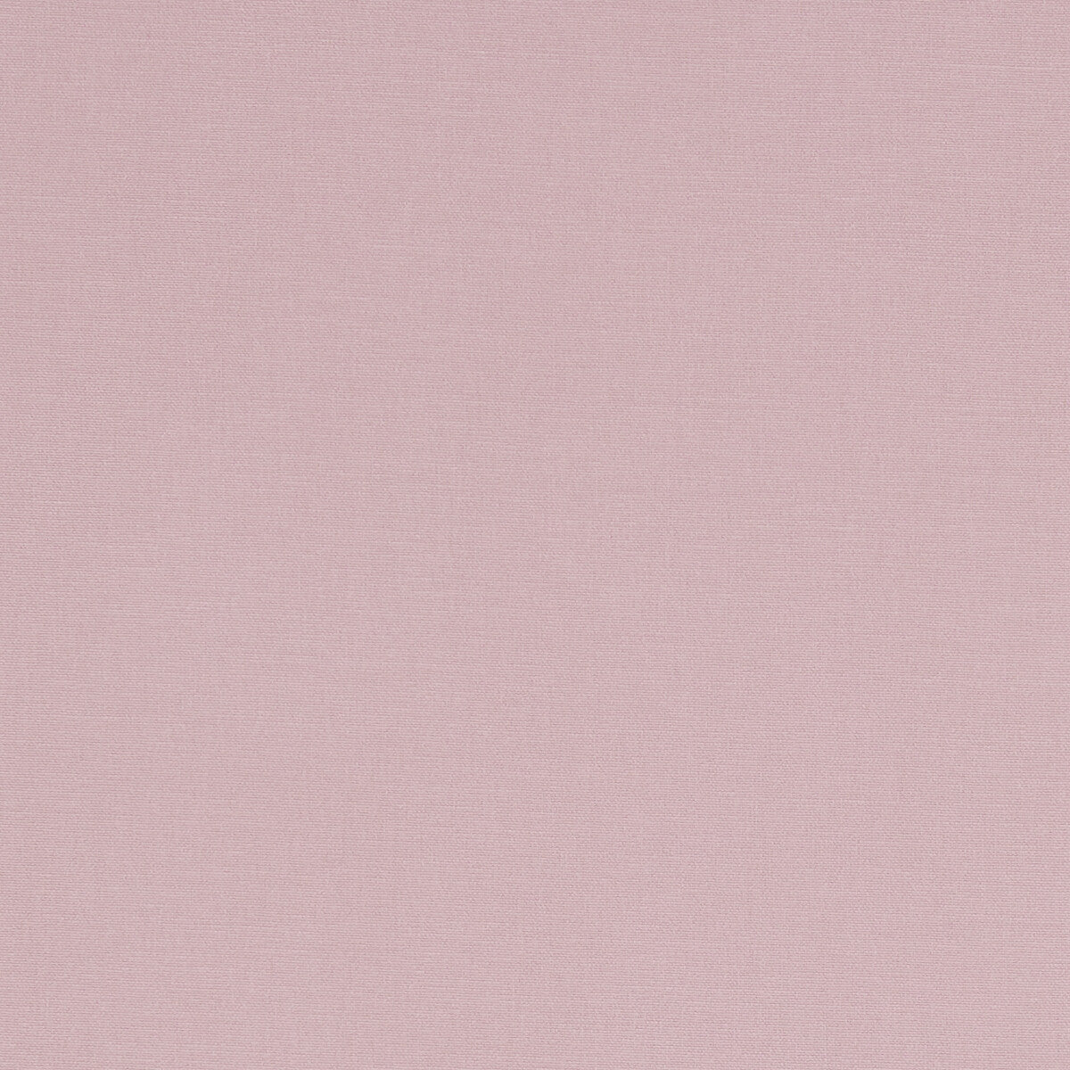 Clarke & Clarke Alora Peony Fabric Sample F1097/48.CAC.0