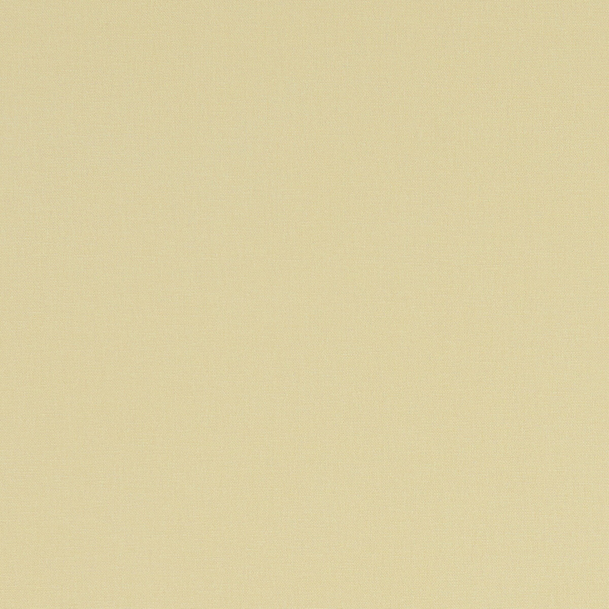 Clarke & Clarke Alora Straw Fabric Sample F1097/63.CAC.0