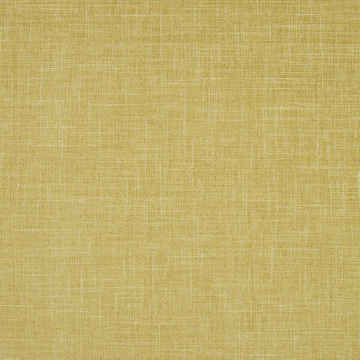 Clarke & Clarke Albany Chartreuse Fabric Sample F1098/04.CAC.0