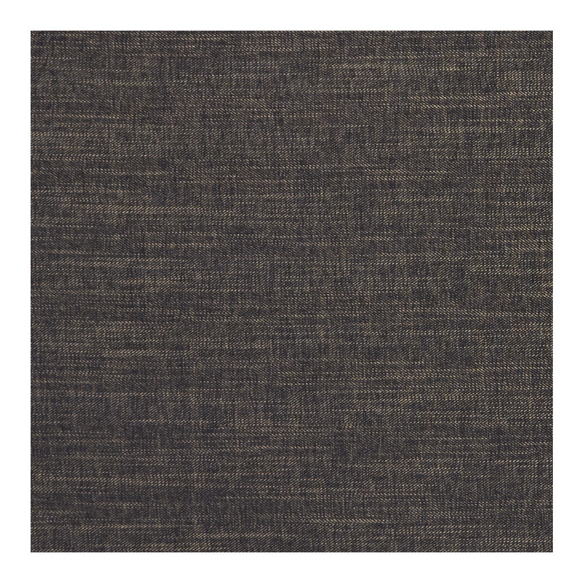 Clarke & Clarke Moray Ebony Fabric Sample F1099/11.CAC.0