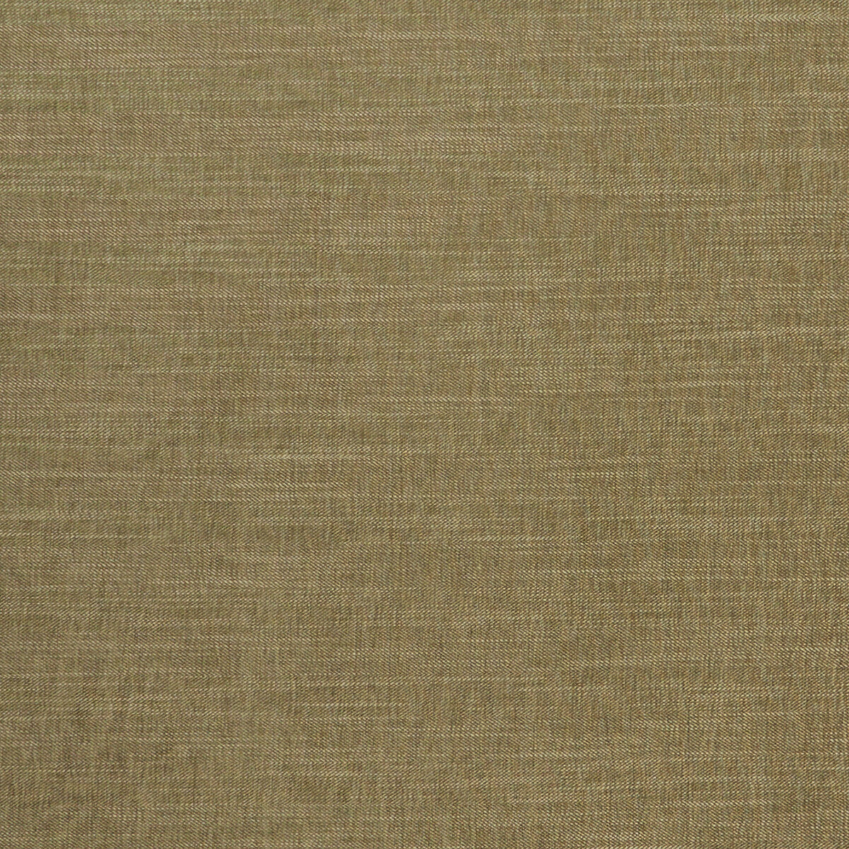 Clarke & Clarke Moray Moss Fabric Sample F1099/22.CAC.0