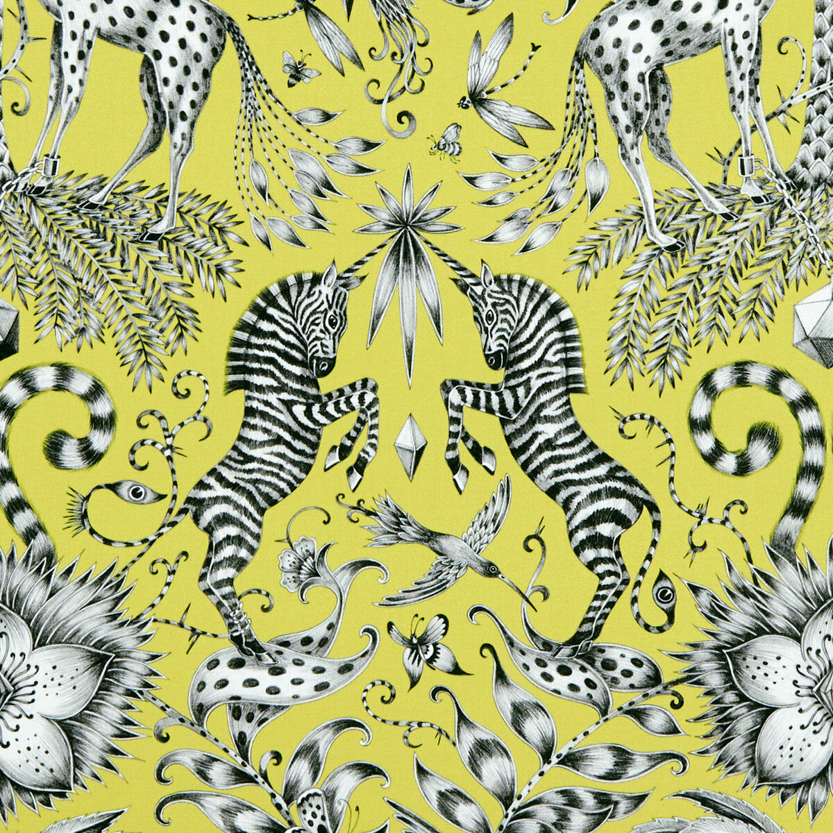 Clarke & Clarke Kruger Lime Fabric Sample F1111/03.CAC.0