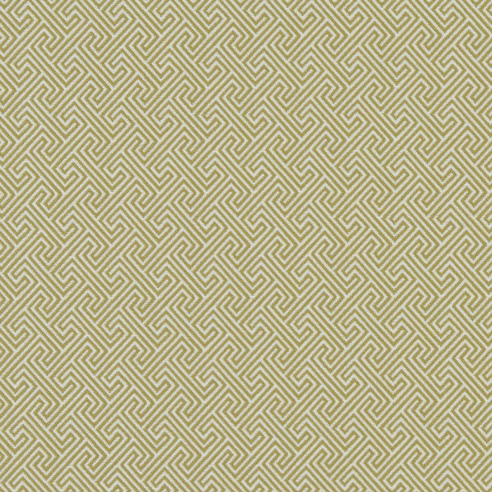 Clarke & Clarke Mercury Citron Fabric Sample F1131/01.CAC.0