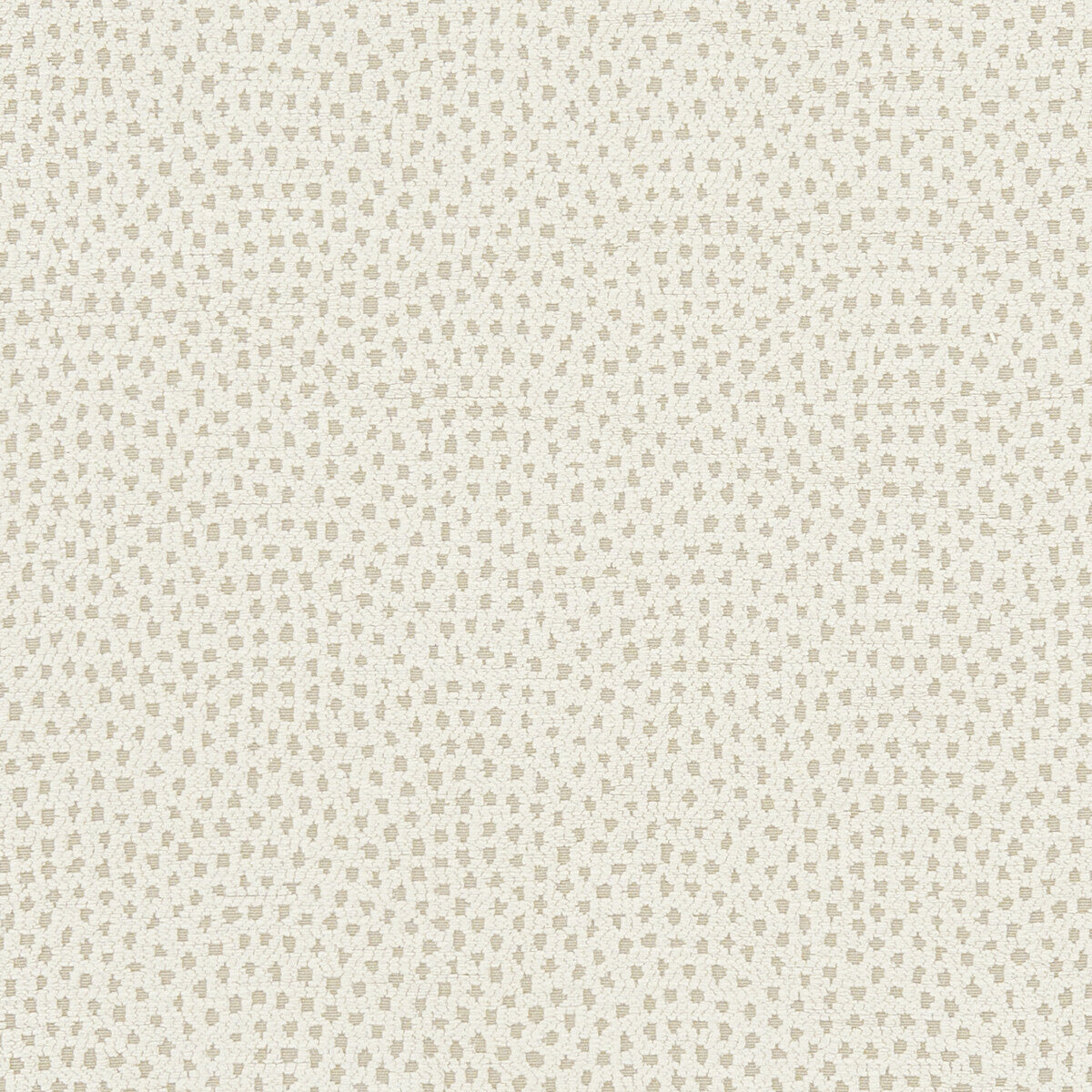 Clarke & Clarke Nebula Ivory Fabric Sample F1132/06.CAC.0