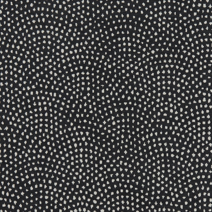 Clarke & Clarke Nebula Noir Fabric Sample F1132/10.CAC.0