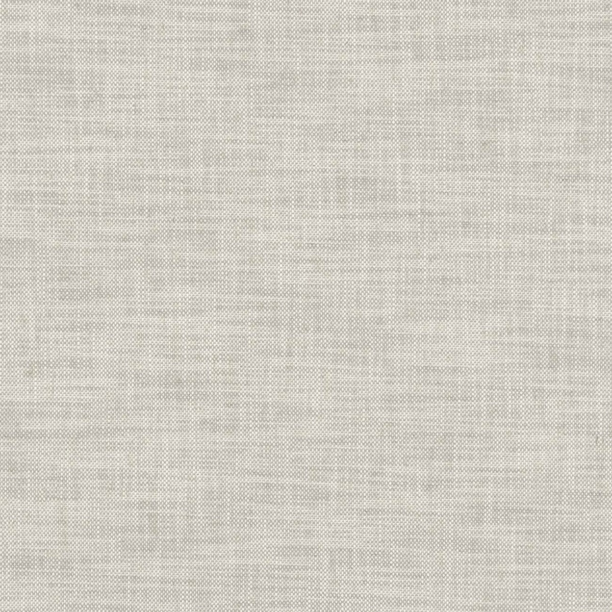 Clarke & Clarke Milton Dove Fabric Sample F1180/04.CAC.0