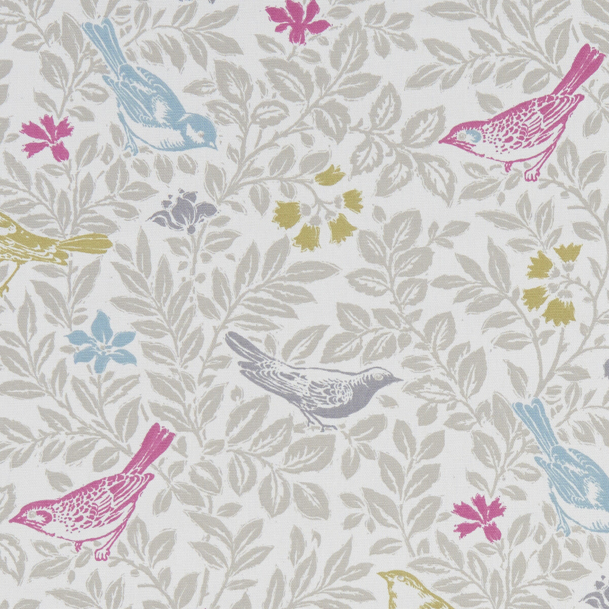 Clarke & Clarke Bird Song Summer Fabric Sample F1184/03.CAC.0
