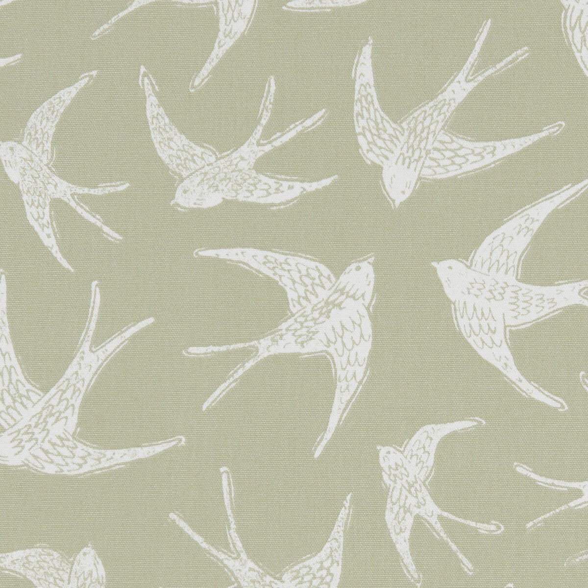 Clarke & Clarke Fly Away Sage Fabric Sample F1187/05.CAC.0