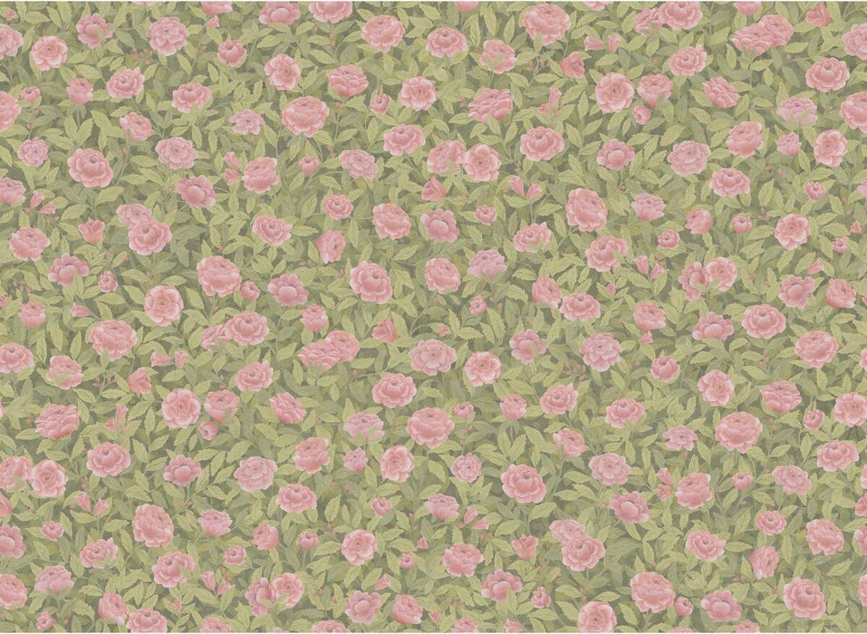 Cole & Son Idyll Roses Linen Blush Fabric Sample F121/2009.CS.0