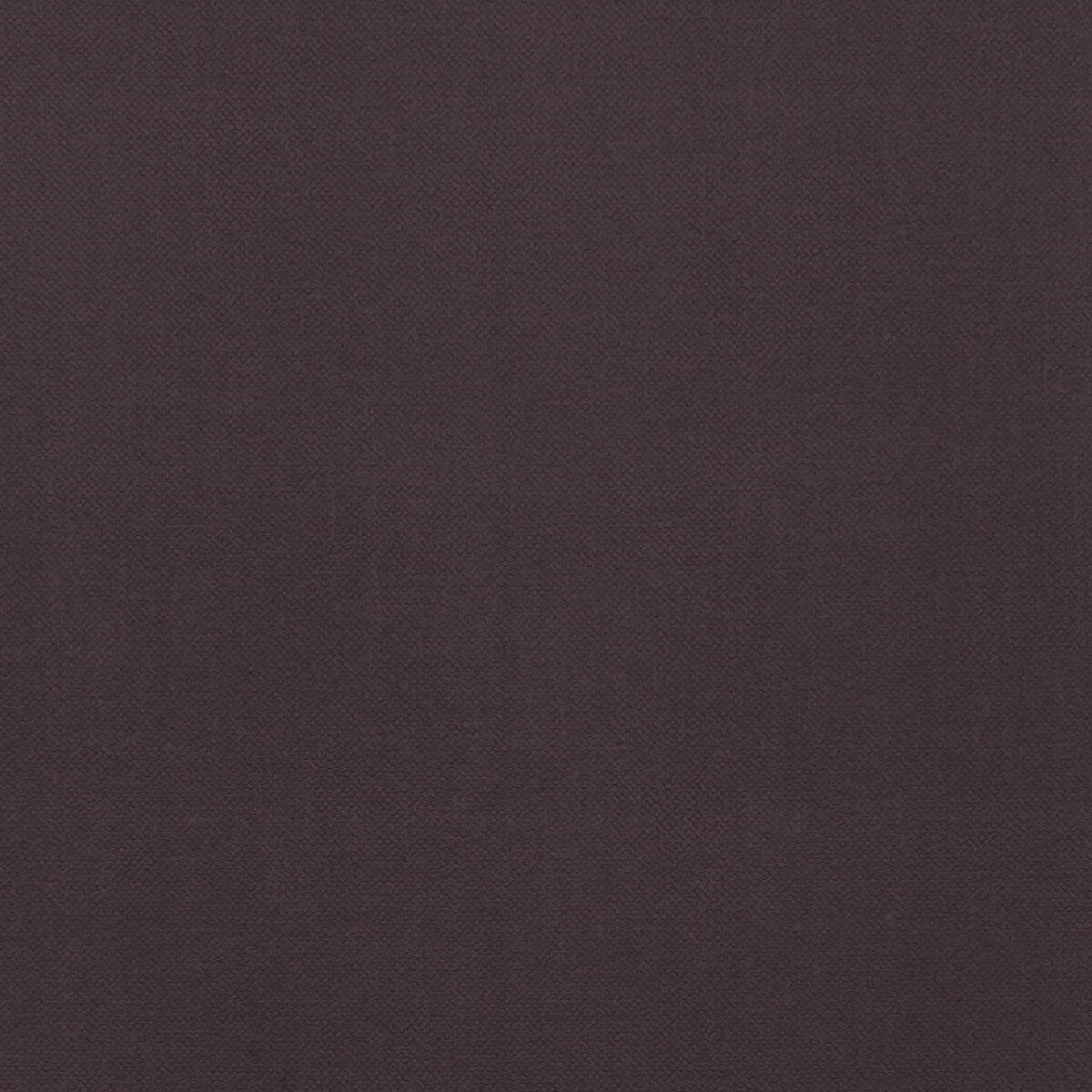 Clarke & Clarke Renzo Damson Fabric Sample F1231/07.CAC.0