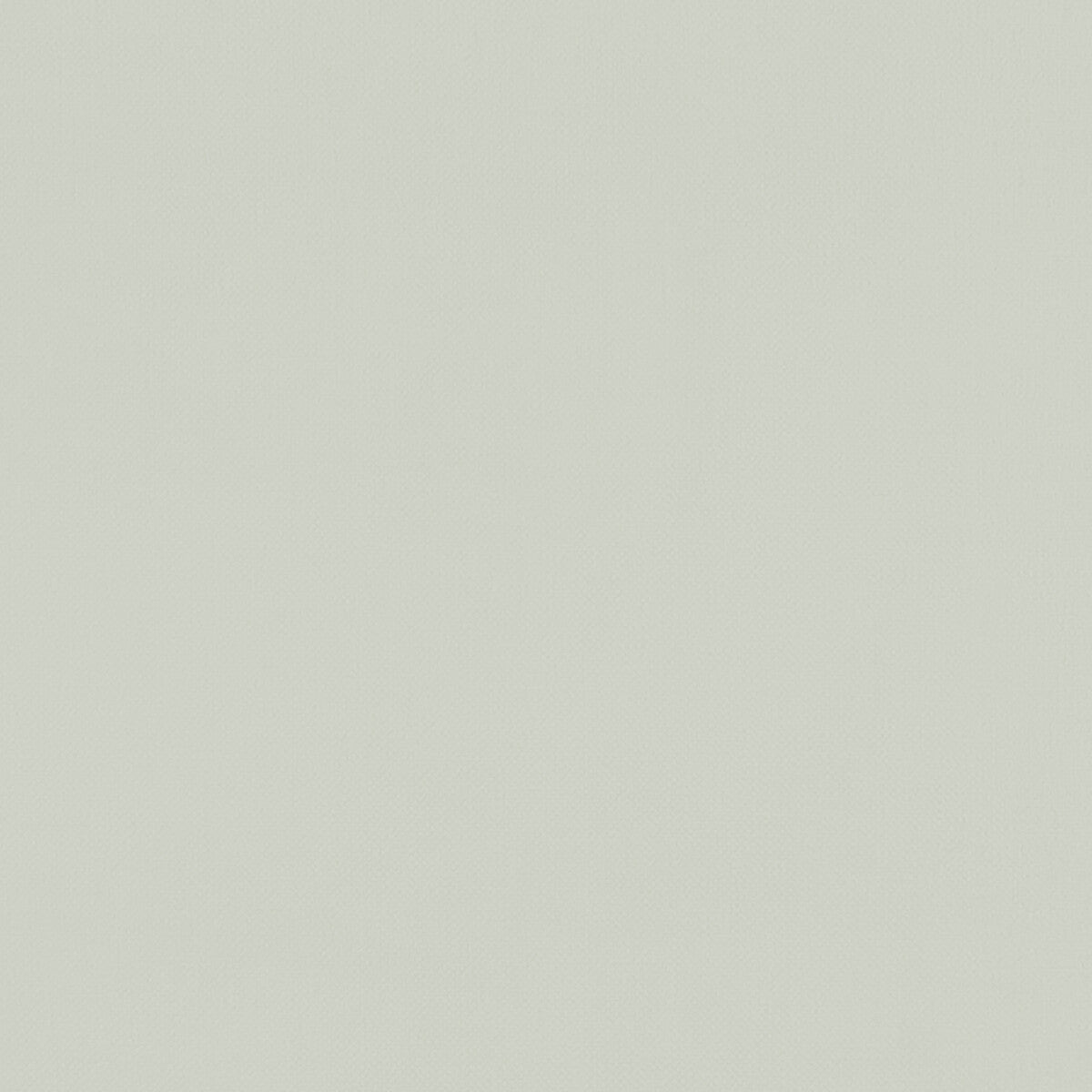 Clarke & Clarke Renzo Silver Fabric Sample F1231/23.CAC.0