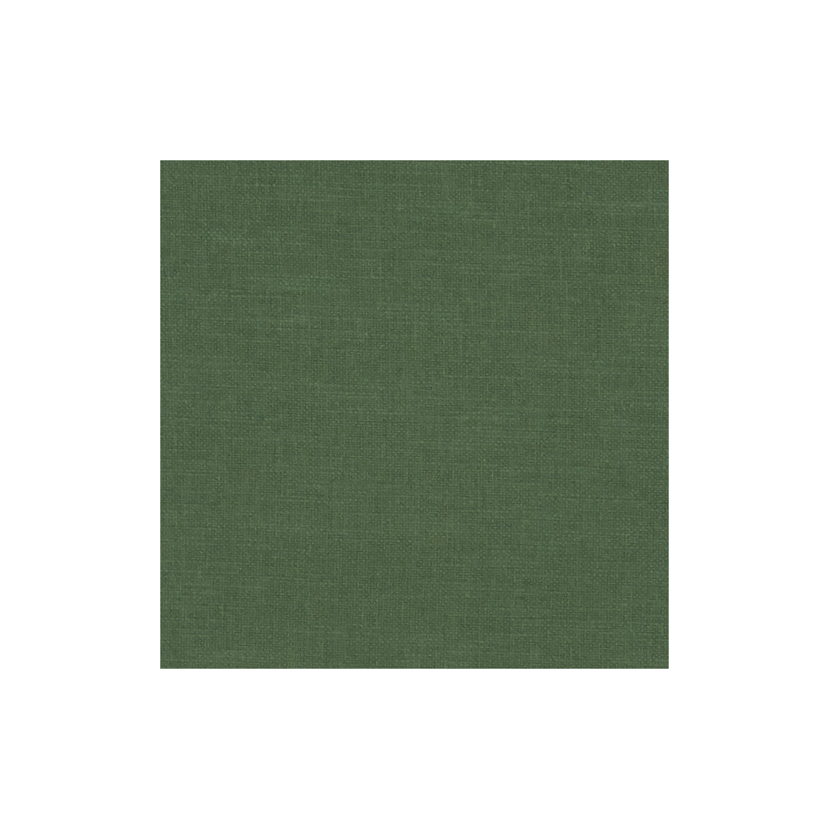Clarke & Clarke Amalfi Forest Fabric Sample F1239/25.CAC.0