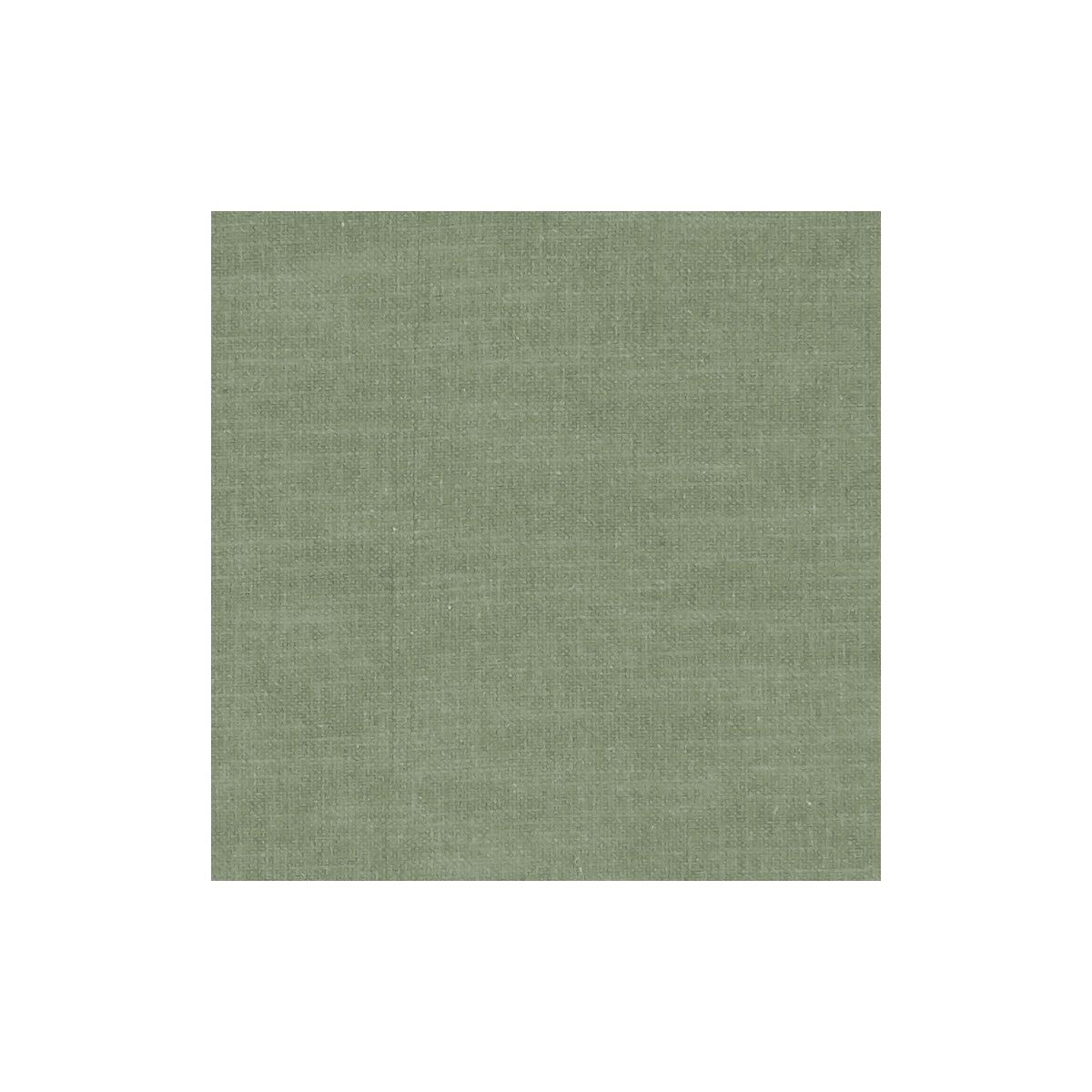 Clarke & Clarke Amalfi Herb Fabric Sample F1239/30.CAC.0
