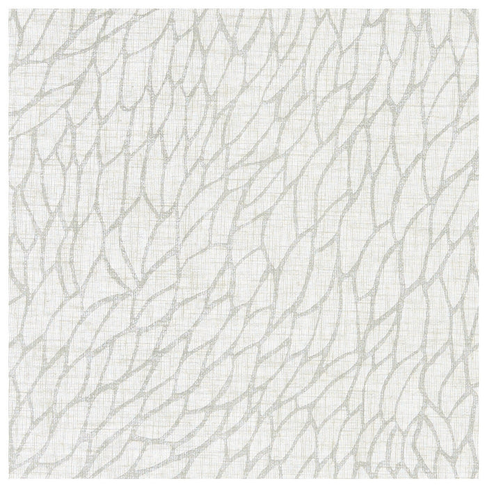 Clarke & Clarke Corallino Sheer Chalk/Silver Fabric Sample F1278/01.CAC.0