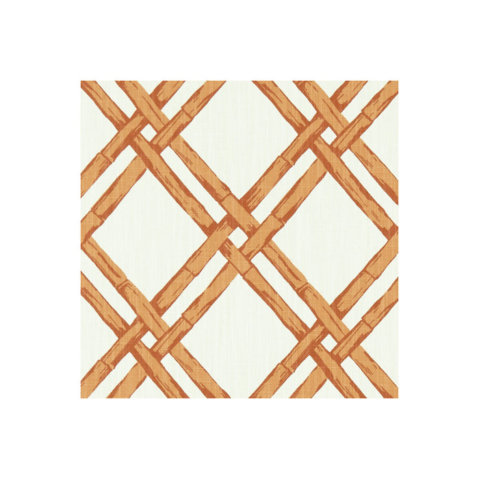 Clarke & Clarke Bhutan Spice Fabric Sample F1287/05.CAC.0