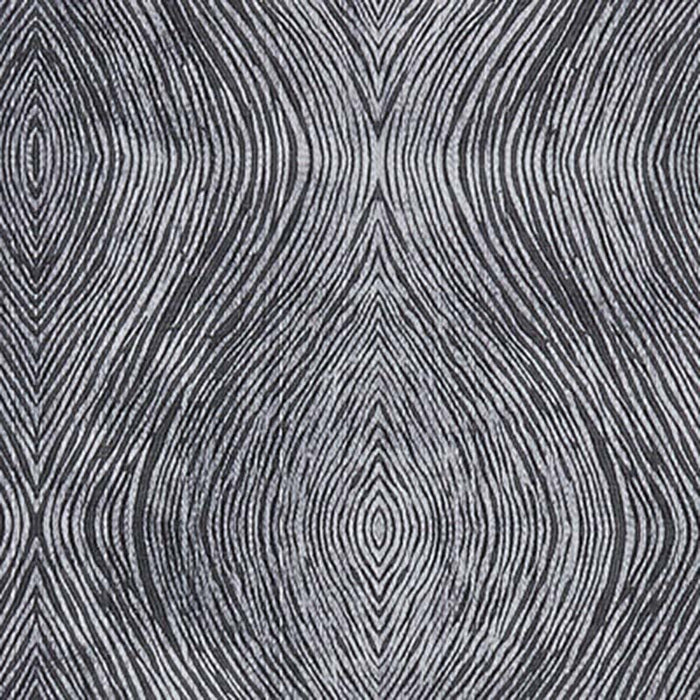 Clarke & Clarke Luster Charcoal Fabric Sample F1336/01.CAC.0