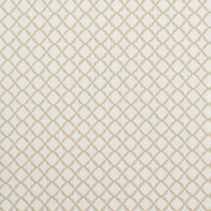 Clarke & Clarke Ariyana Natural Fabric Sample F1364/07.CAC.0