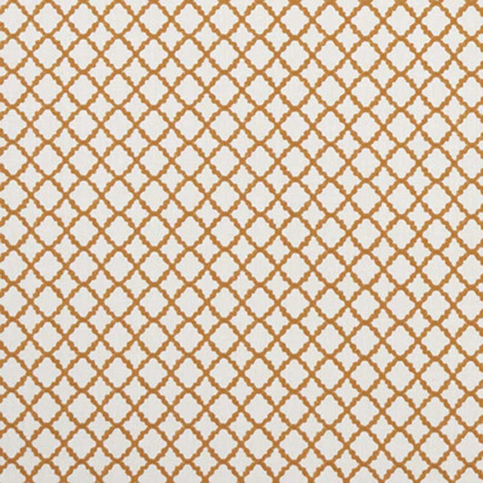 Clarke & Clarke Ariyana Spice Fabric Sample F1364/08.CAC.0
