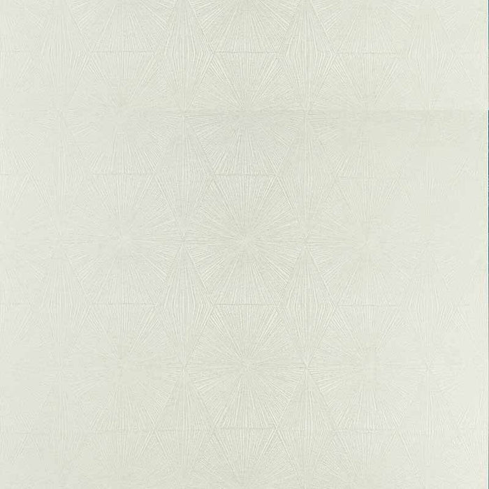 Clarke & Clarke Blaize Silver Fabric Sample F1456/05.CAC.0
