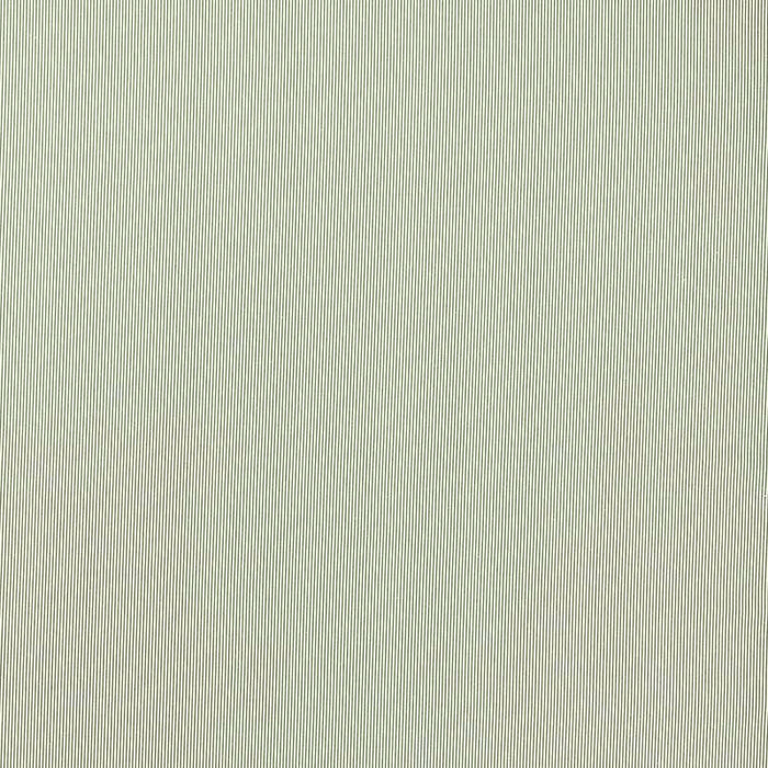 Clarke & Clarke Breton Sage Fabric Sample F1498/08.CAC.0