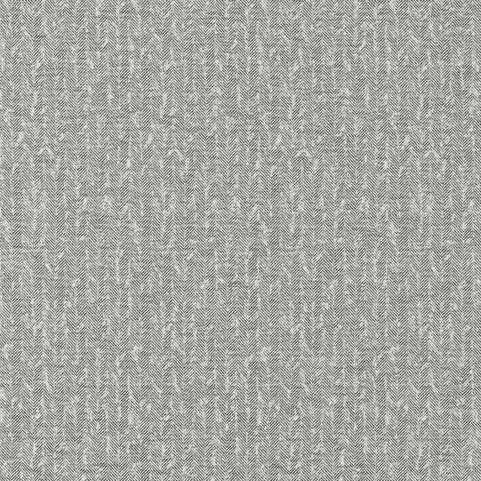 Clarke & Clarke Tierra Charcoal Fabric Sample F1529/03.CAC.0