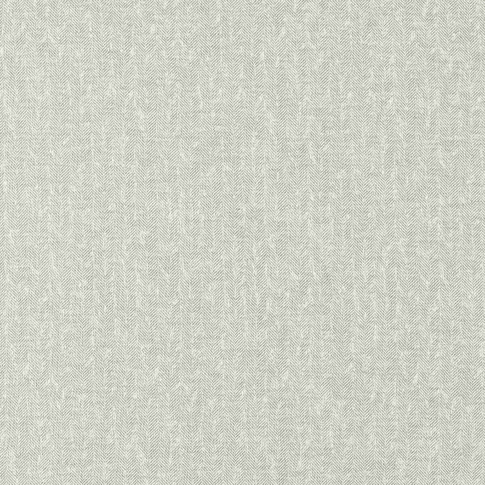 Clarke & Clarke Tierra Silver Fabric Sample F1529/09.CAC.0