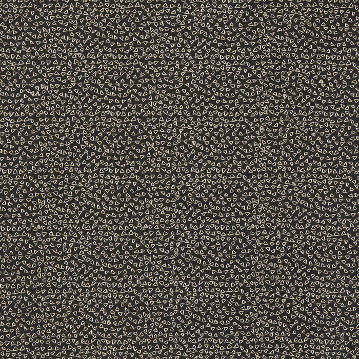 Clarke & Clarke Ricamo Nero Fabric Sample F1548/03.CAC.0