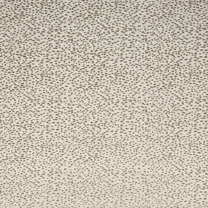 Clarke & Clarke Astral Stone Fabric Sample F1564/07.CAC.0