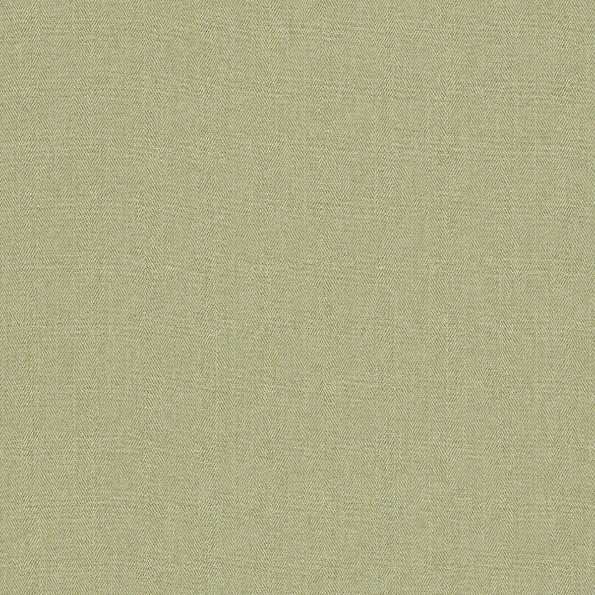 Clarke & Clarke Rowland Olive Fabric Sample F1570/08.CAC.0
