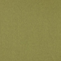 Clarke & Clarke Orla Olive Fabric F1572/16.CAC.0