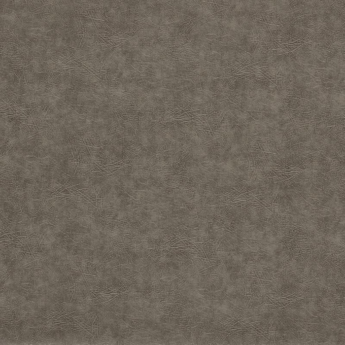 Clarke & Clarke Dawson Pewter Fabric F1598/14.CAC.0