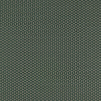 Clarke & Clarke Equator Forest Fabric F1618/01.CAC.0
