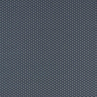 Clarke & Clarke Equator Midnight Fabric F1618/02.CAC.0