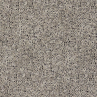 Clarke & Clarke Orion Noir Fabric F1619/04.CAC.0
