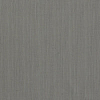 Clarke & Clarke Remo Charcoal Fabric F1665/02.CAC.0