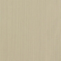 Clarke & Clarke Remo Linen Fabric F1665/05.CAC.0