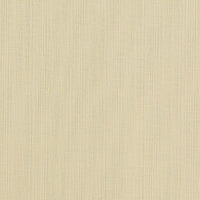 Clarke & Clarke Remo Raffia Fabric F1665/10.CAC.0