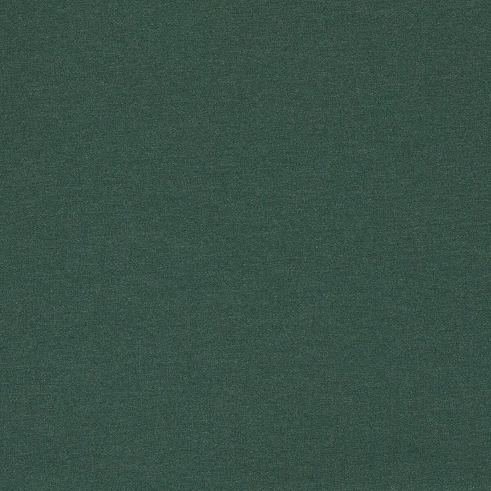 Clarke & Clarke Lugo Forest Fabric Sample F1669/02.CAC.0